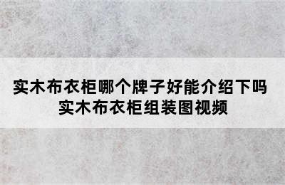 实木布衣柜哪个牌子好能介绍下吗 实木布衣柜组装图视频